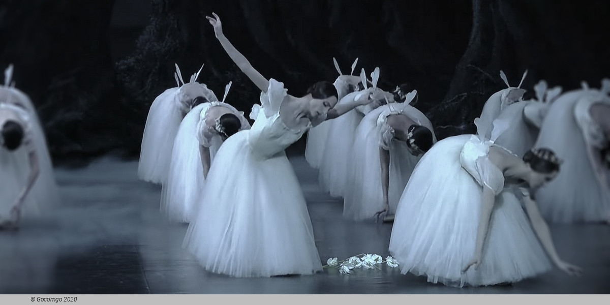 Giselle, photo 18
