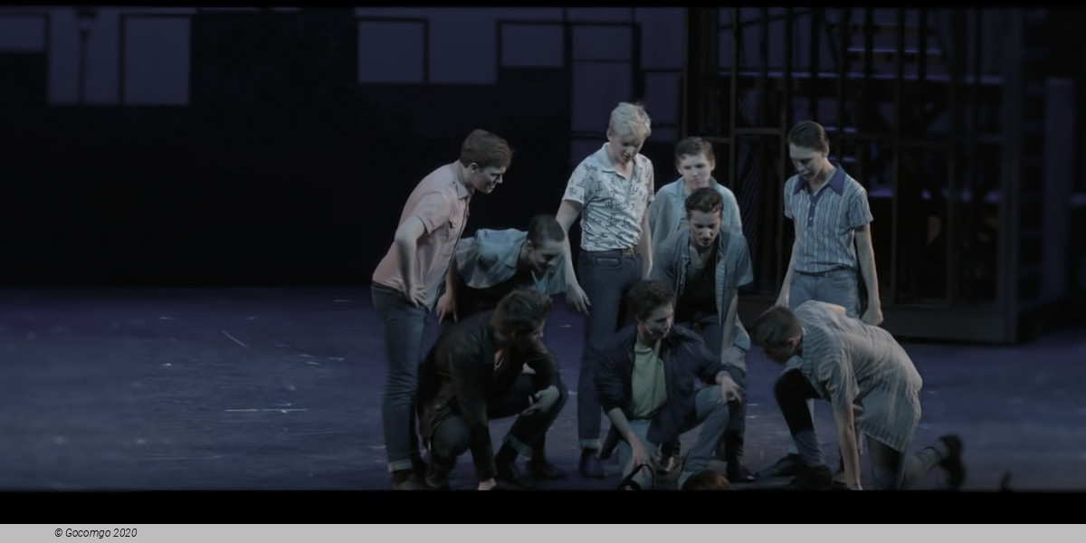 Scene 6 from the musical "West Side Story", photo 6