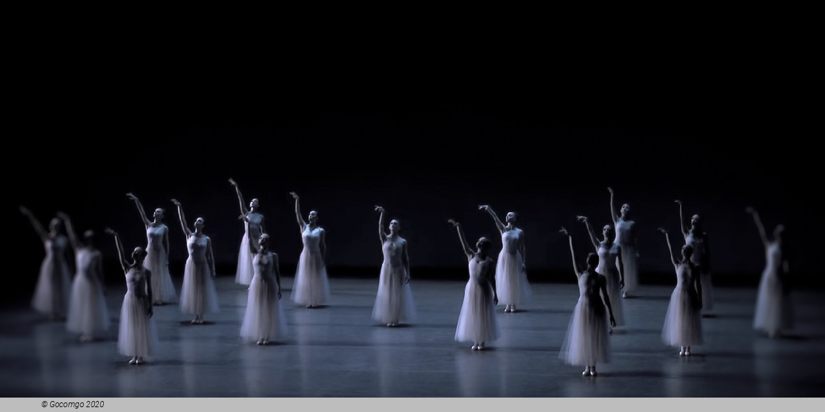 Scene 6 from the ballet "Serenade", photo 8