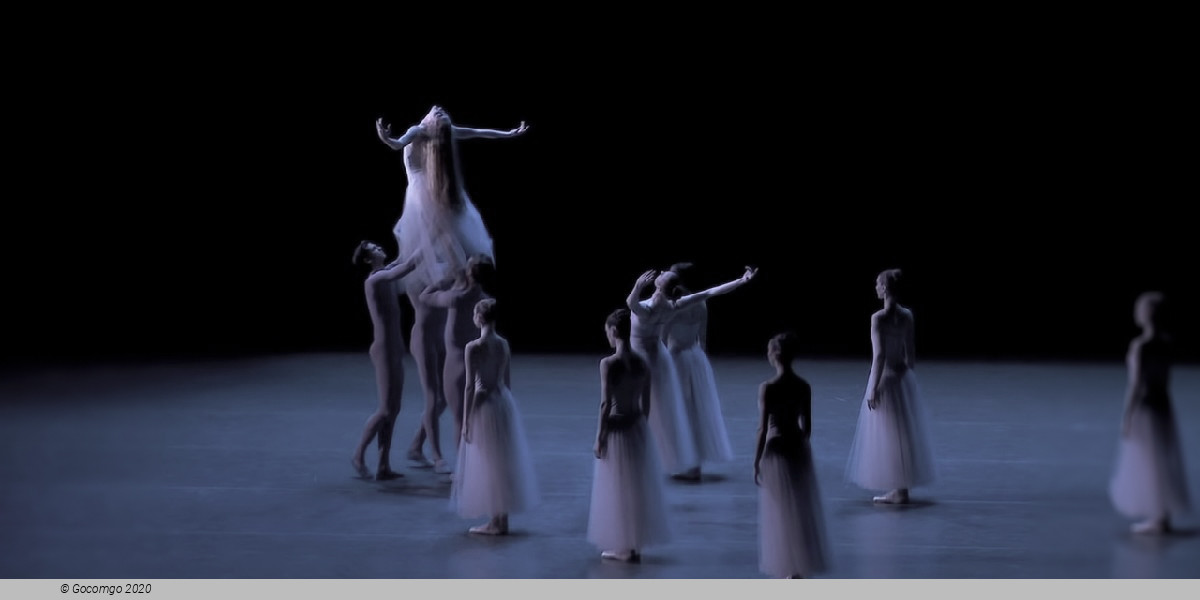 Scene 8 from the ballet "Serenade", photo 10