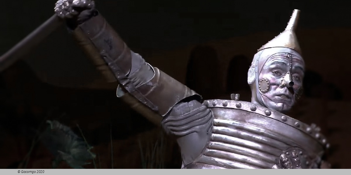 Scene 2 from the musical "The Wizard of Oz", photo 3