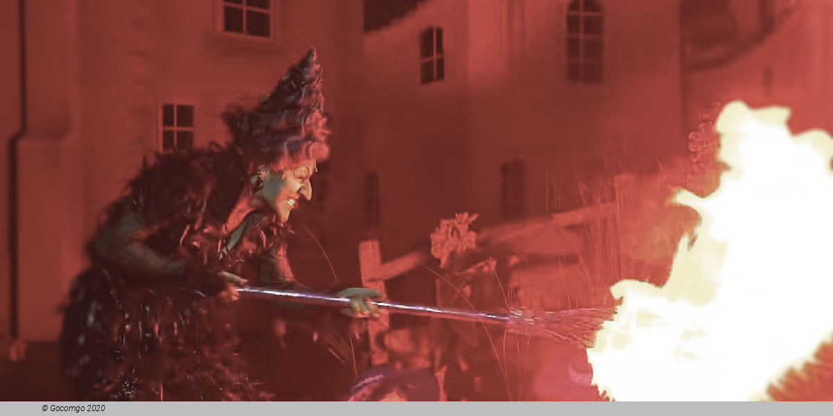 Scene 7 from the musical "The Wizard of Oz", photo 7