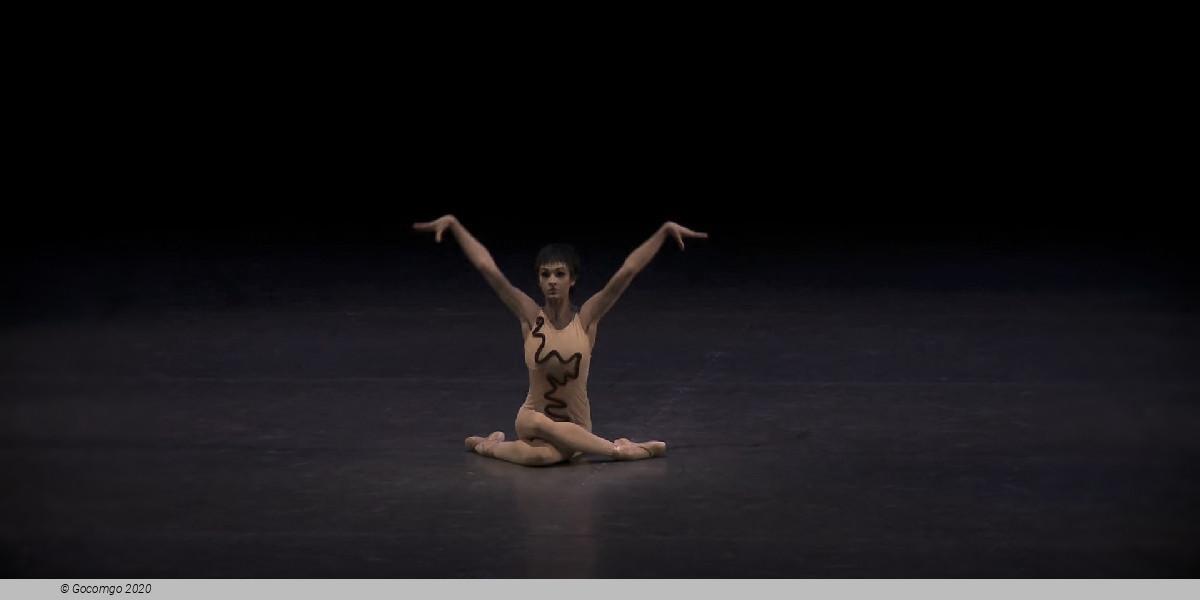 Scene 1 from the modern ballet "The Cage", photo 8