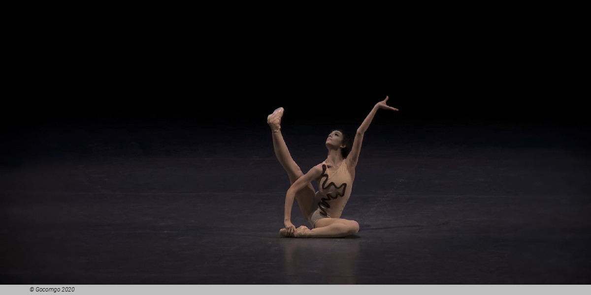 Scene 2 from the modern ballet "The Cage", photo 9