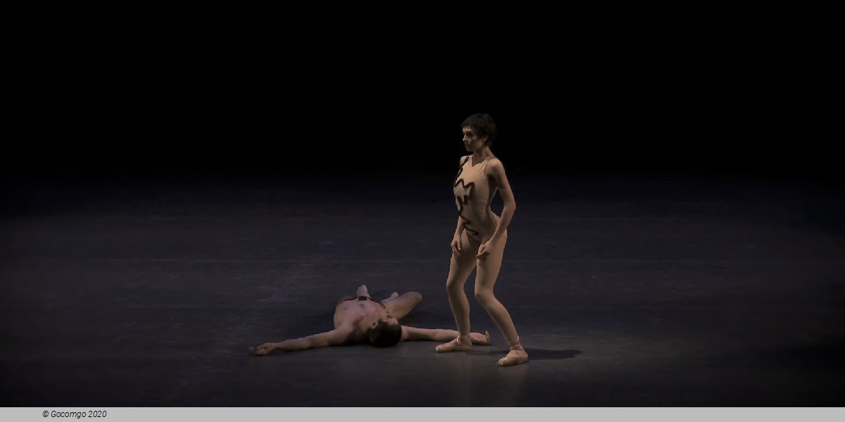 Scene 3 from the modern ballet "The Cage", photo 10