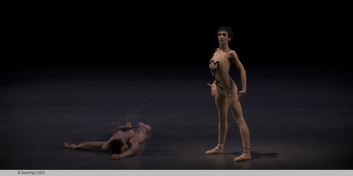 Scene 4 from the modern ballet "The Cage", photo 7