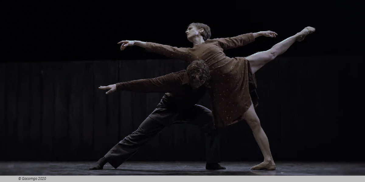 Scene 3 from the modern ballet "Walking Mad", photo 3