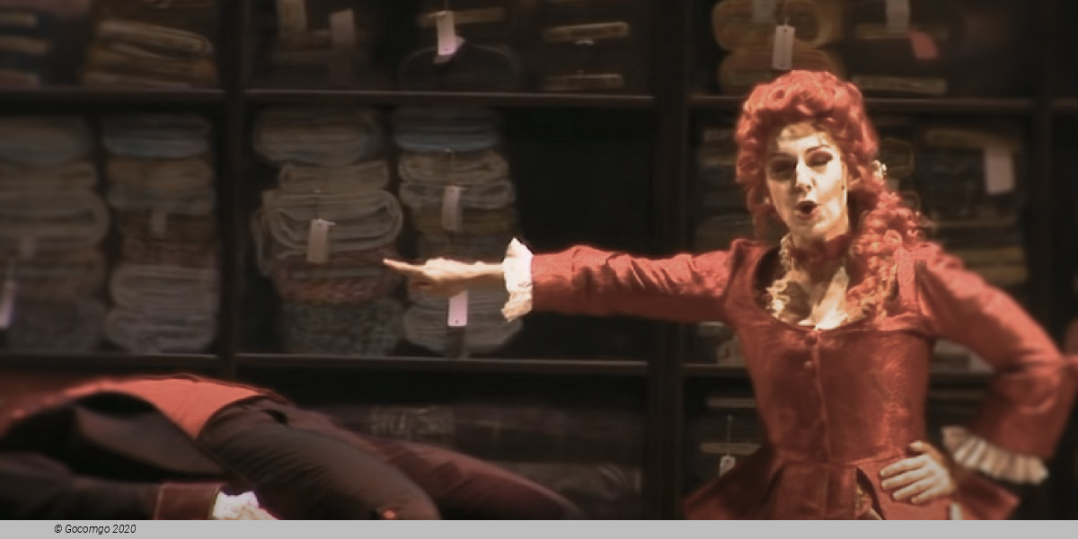 Scene 4 from the opera "Il matrimonio segreto", photo 5