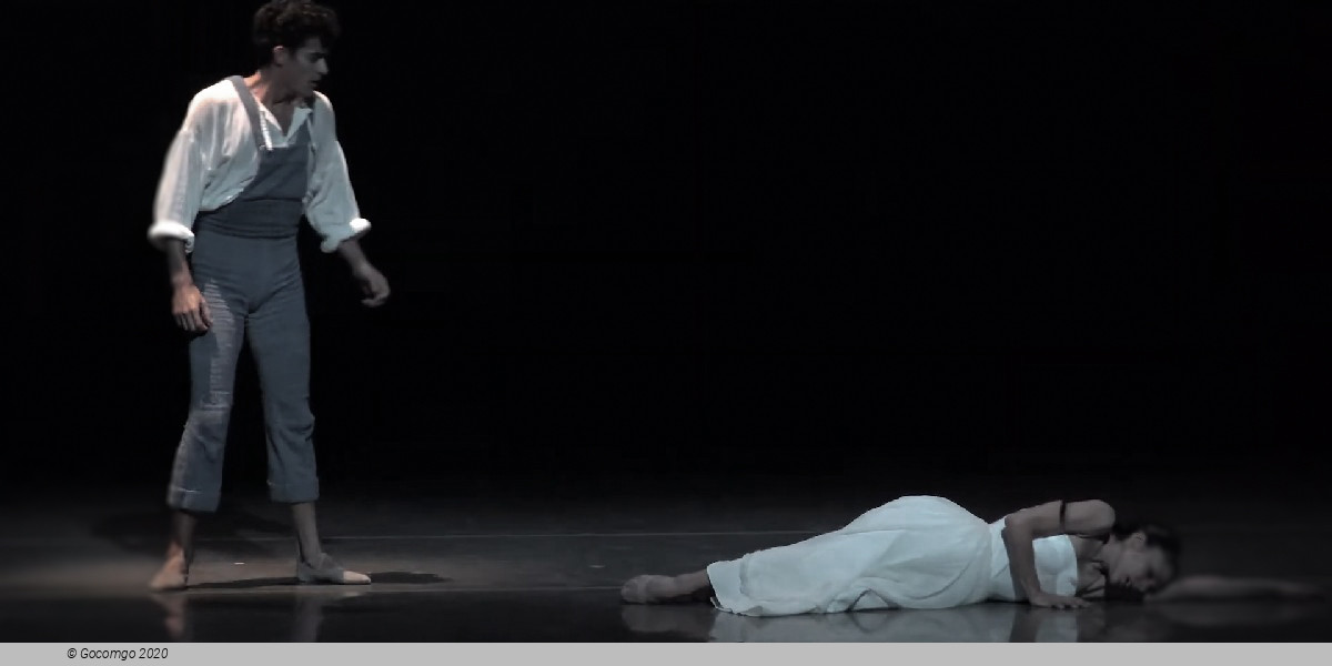 Scene 2 from the ballet "Le Baiser de la fée", photo 8