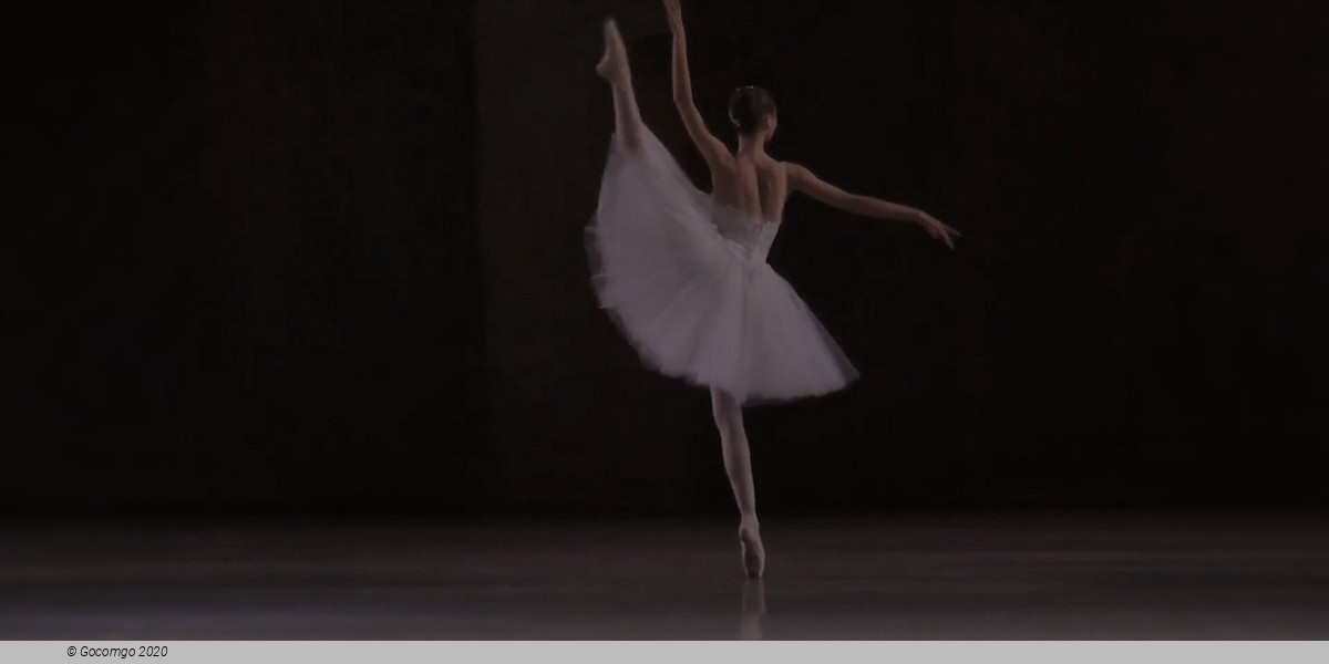 Scene 2 from the ballet "Vienna Waltzes", photo 7