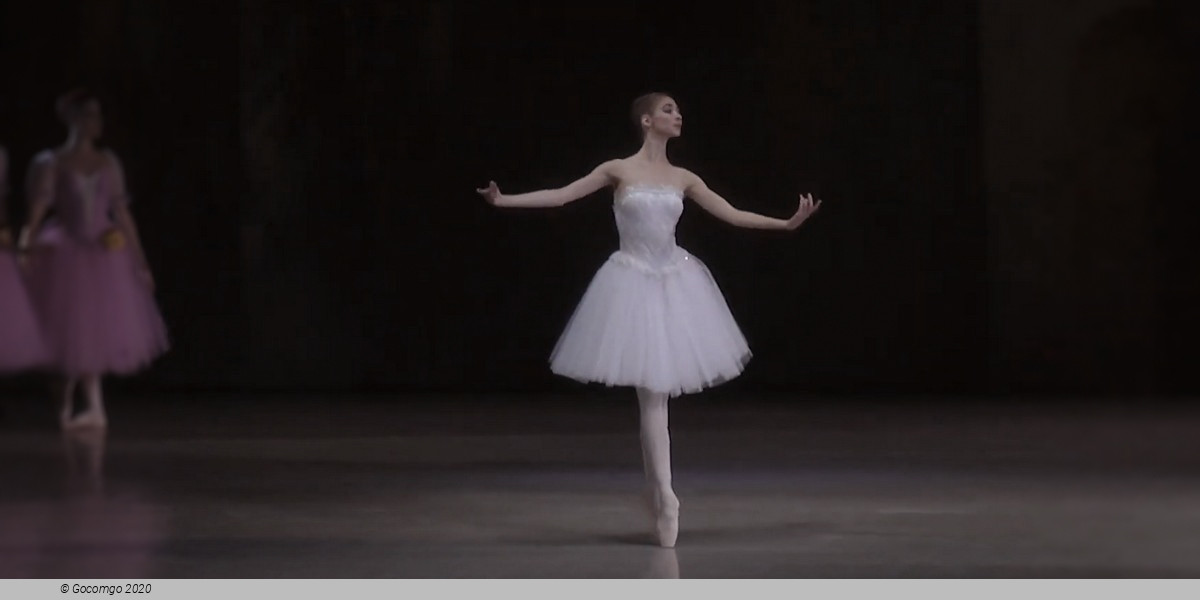 Scene 3 from the ballet "Vienna Waltzes", photo 8