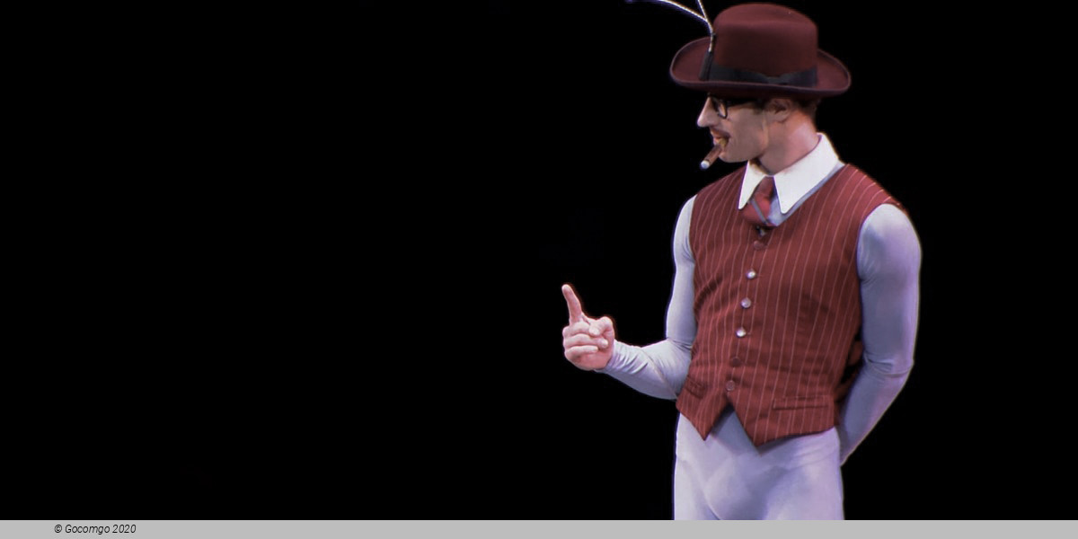 Scene 10 from the ballet "The Concert", photo 10