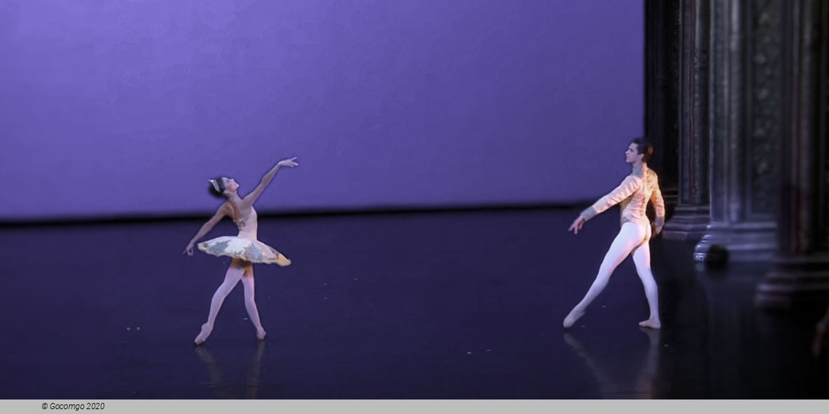 Theme and Variations, photo 2