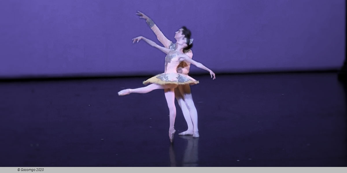 Theme and Variations, photo 3