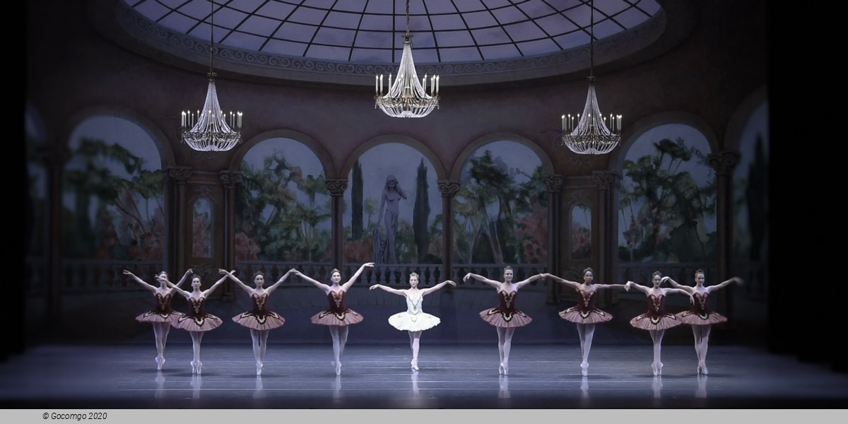 Theme and Variations, photo 1