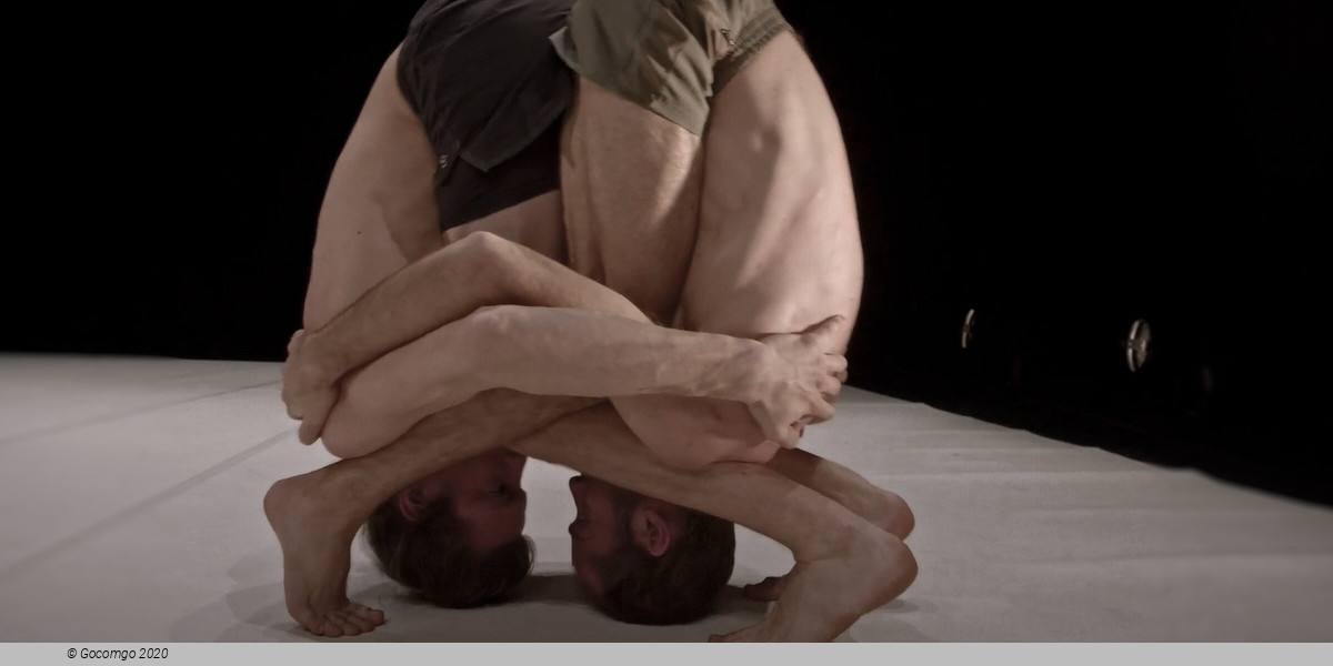 Through the Grapevine, photo 5