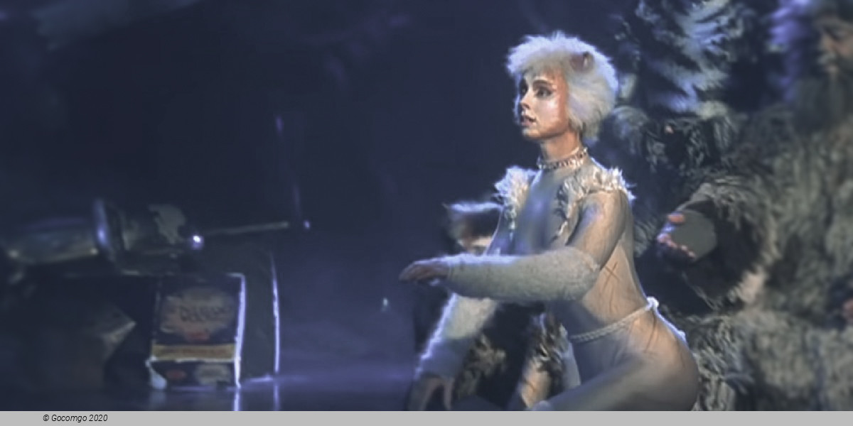 Scene 7 from the musical "Cats"