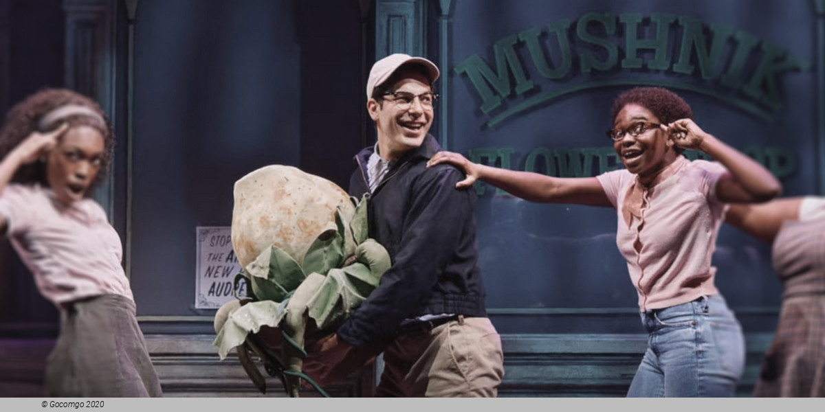 Scene 7 from the musical "Little Shop of Horrors", photo 2