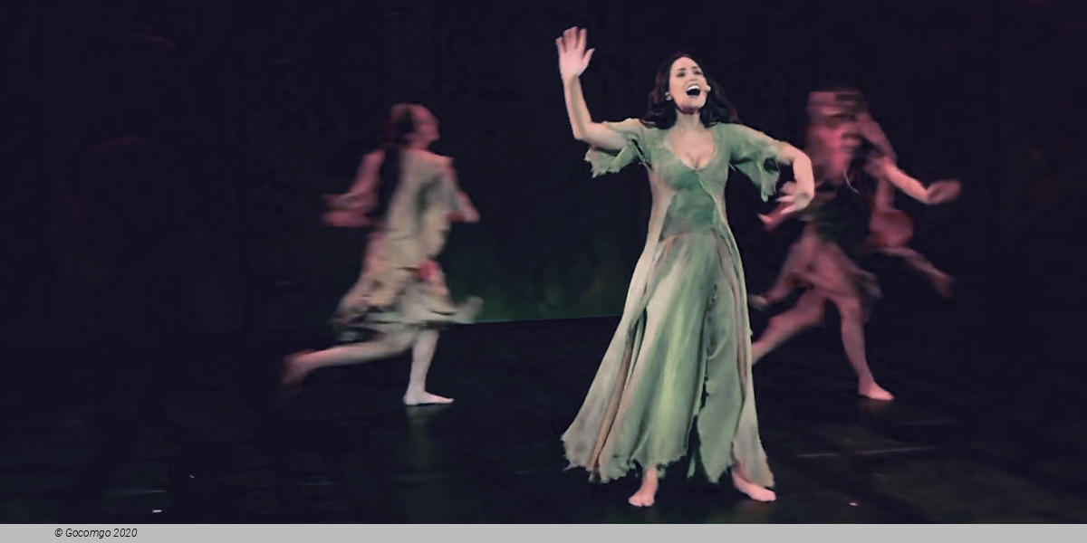 Scene 3 from the musical "Notre Dame de Paris", photo 4